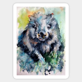 Wombat II Sticker